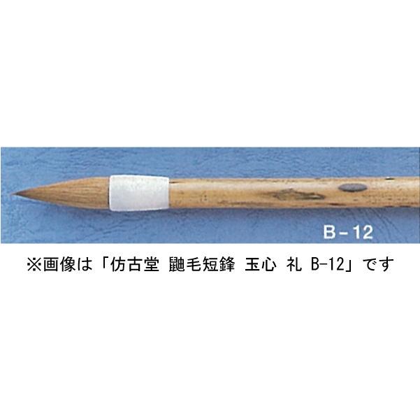 まとめ)呉竹 細筆 さんらく 8号 白毛〔×30セット〕 :ds 2178909 まとめ)呉竹 細筆 さんらく 8号 白毛〔×30セット〕 :ds 2178909