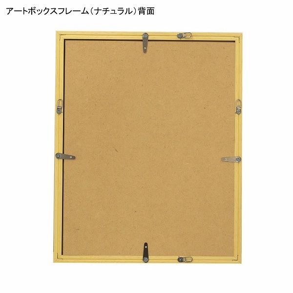 アートプリントジャパン アートボックスフレーム(高さ35mm) パステル