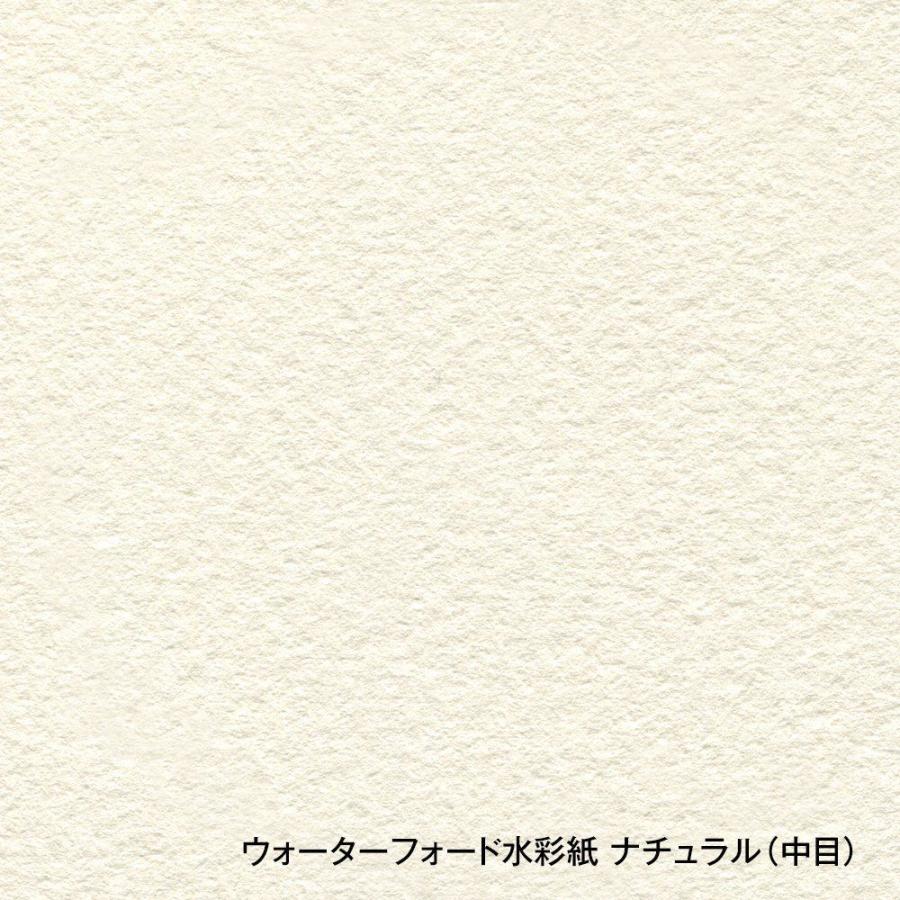 ウォーターフォード水彩紙 ナチュラル 中判（560×760mm）190g 中目 10枚セット (261504)の画像