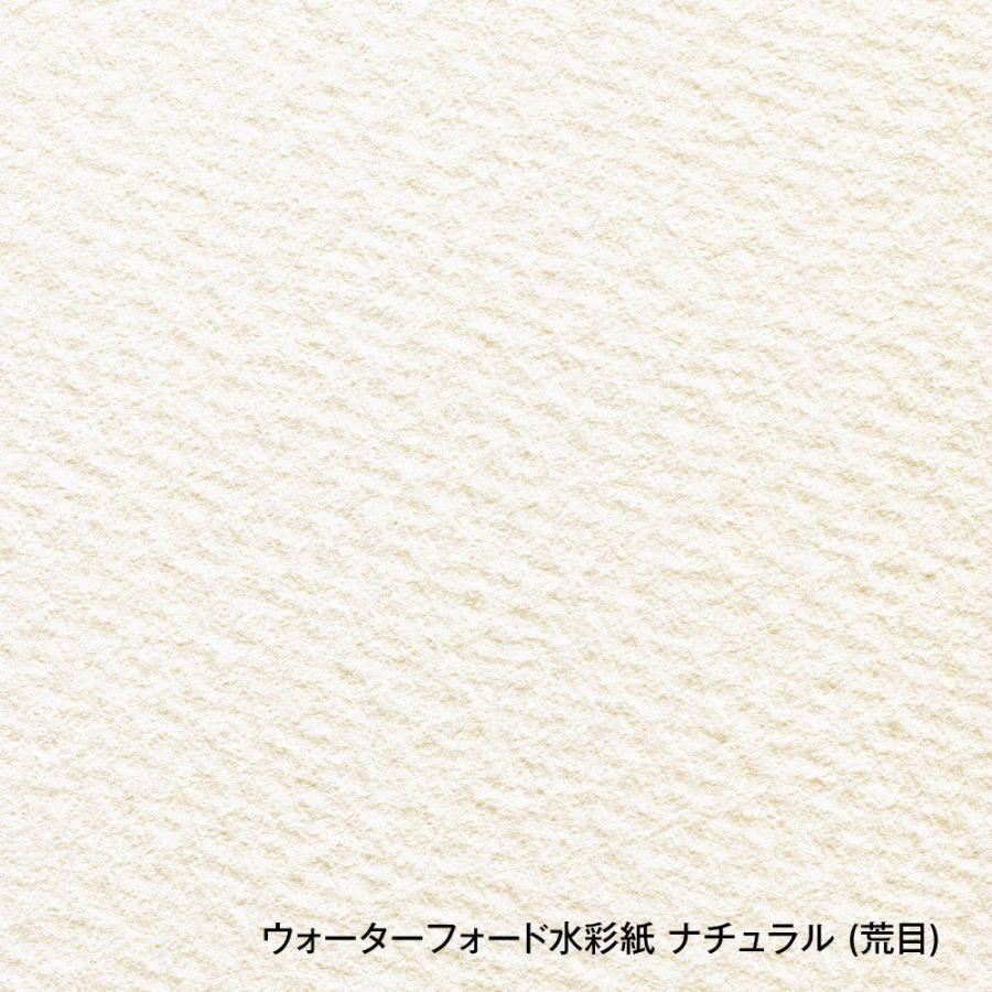 ウォーターフォード水彩紙 ナチュラル 中判（560×760mm）190g 荒目 10枚セット (261501)の画像
