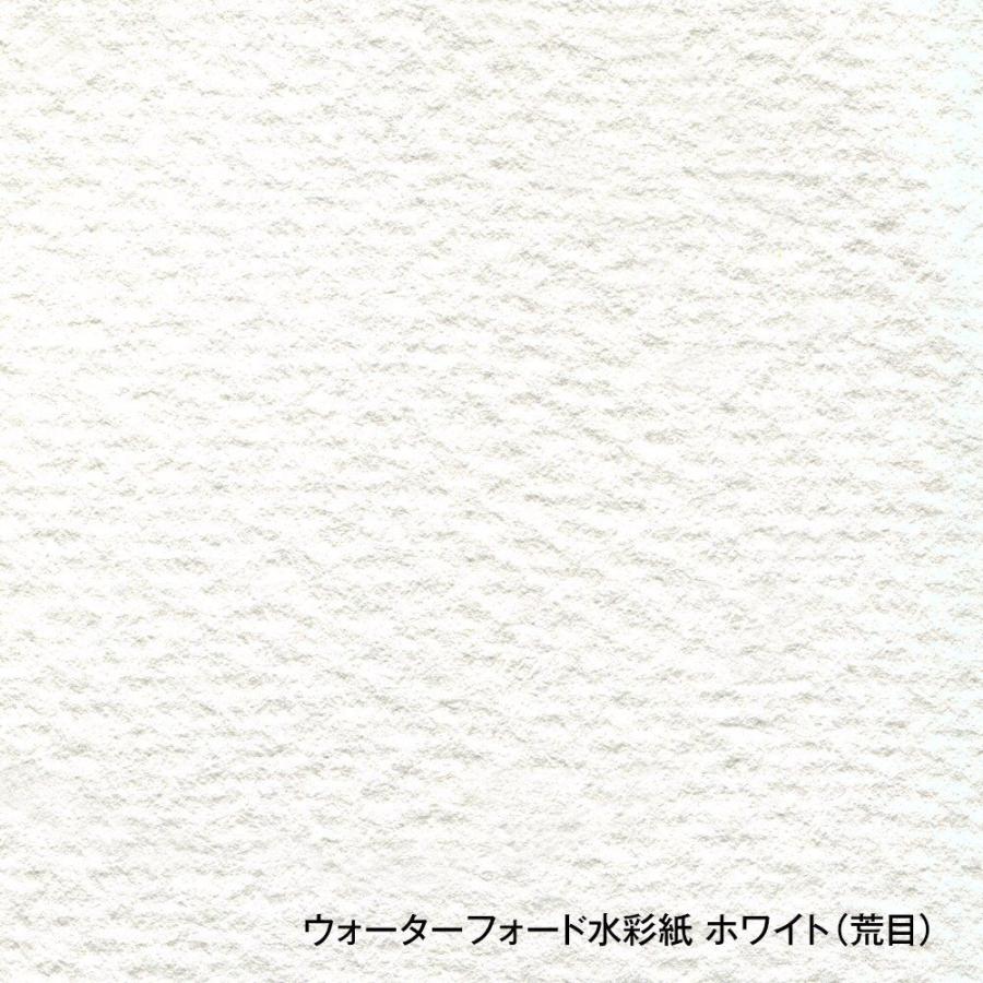 ウォーターフォード水彩紙 ホワイト 中判（560×760mm）190g 荒目 10枚セット (261601)の画像