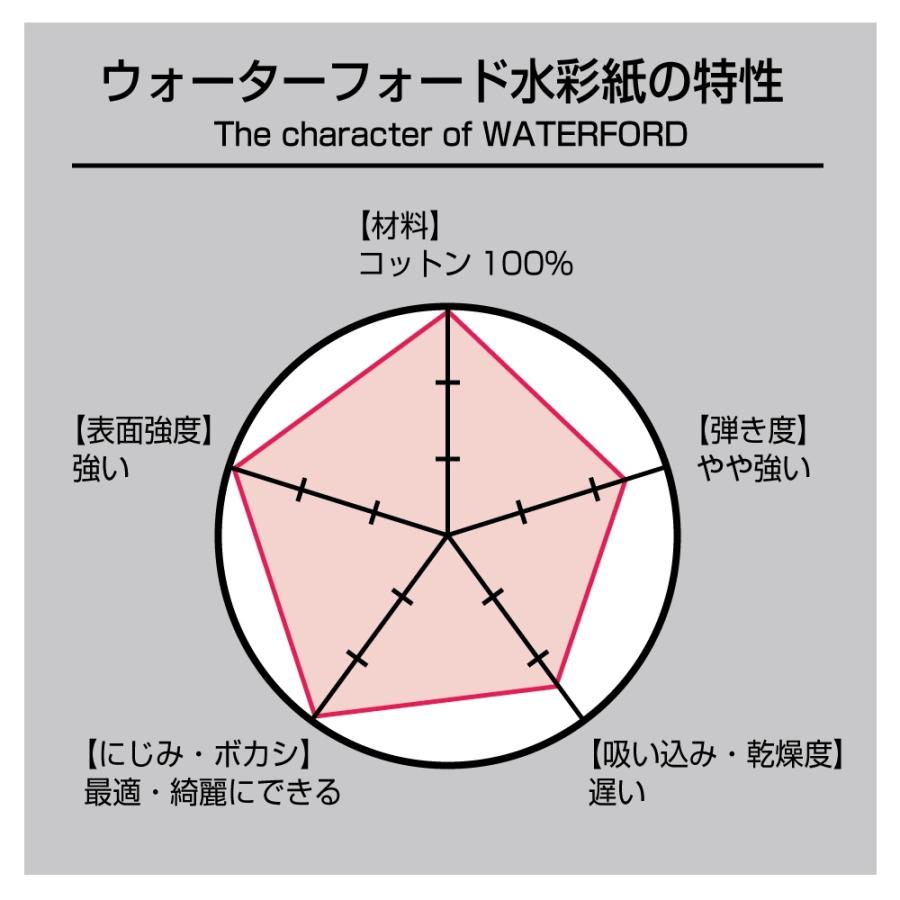 ウォーターフォード水彩紙 ホワイト 中判（560×760mm）190g 細目 10枚セット (261607)の画像