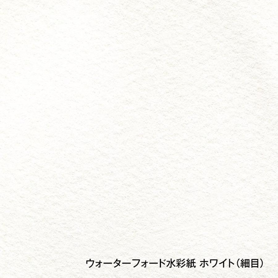 ウォーターフォード水彩紙 ホワイト 中判（560×760mm）190g 細目 10枚セット (261607)の画像