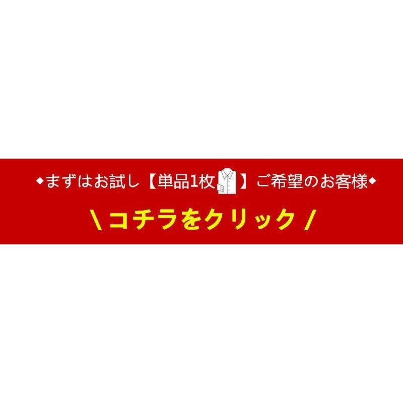 ２枚セット　レギュラーカラー　ワイシャツ カジュアルシャツ メンズ 力ッタウェイシャツ ビジネス 長袖シャツ 無地 スリム 白シャツ 大きいサイズ FJDC-5618A｜arcoiris-store｜09