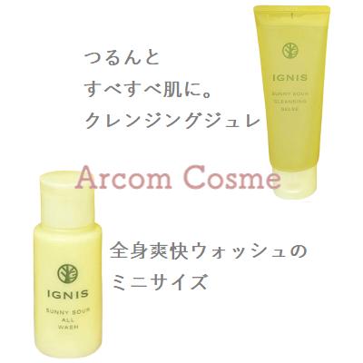 イグニス（IGNIS） 【限定キット】サニーサワー クレンジング ジュレ