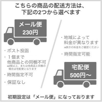 BENEFIQUE 資生堂 ベネフィーク シャンプー レフィル(詰め替え用