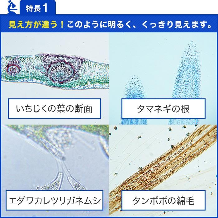 新日本通商 ハイクラス 顕微鏡セット 倍率1000倍 生物顕微鏡 倍率40 1000倍 実験 知育 理科 科学 小学生 中学生 高校生 子供用 初心者 マイクロスコープ 使い B01dij4upu Arcraft 丁寧に作られた日用品 通販 Yahoo ショッピング