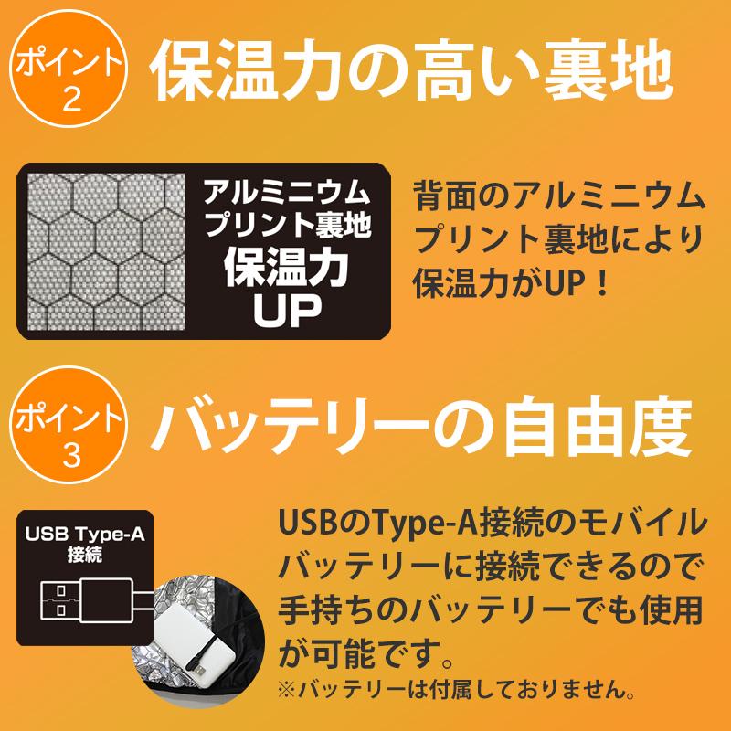 BT 電熱ヒートベスト S/Mサイズ BT-HV60S 片山利器 301767 |  | 02