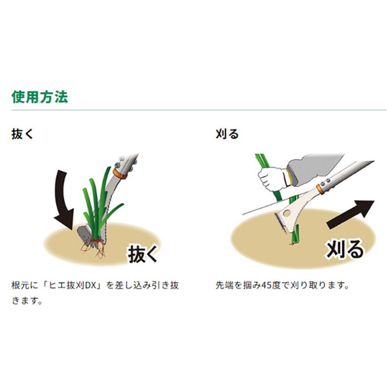 水田除草用具 ヒエ抜刈DX デラックス 取寄品 三陽金属 0869 |  | 02