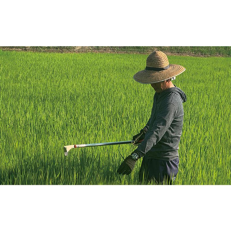 水田除草用具 ヒエ抜刈DX デラックス 取寄品 三陽金属 0869 |  | 03