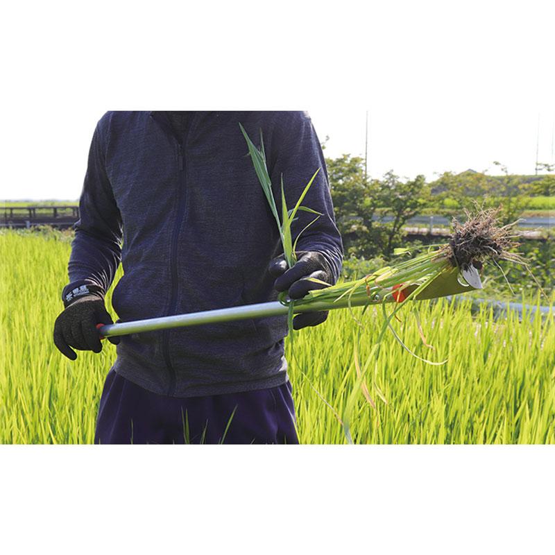 水田除草用具 ヒエ抜刈DX デラックス 取寄品 三陽金属 0869 |  | 04