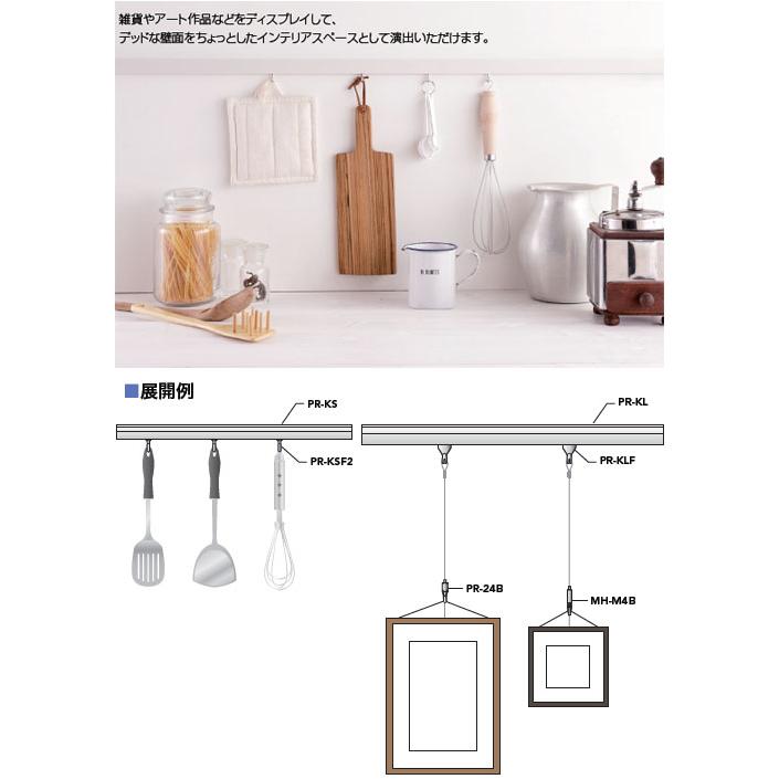 壁面専用ピクチャーレール Lタイプ シルバー 取寄品 パイオニア 壁面専用ピクチャーレール Lタイプ シルバー 取寄品 パイオニア