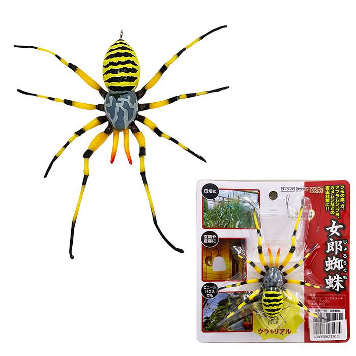 除労蜘蛛 ジョロウグモ 女郎蜘蛛 害虫対策 取寄品 高芝ギムネ M-46
