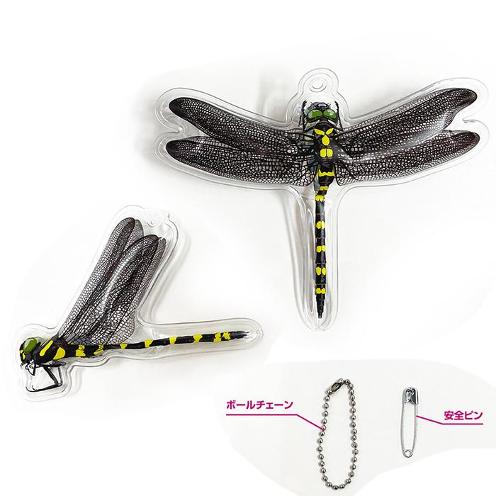 イヤな虫の天敵 オニヤンマ兄弟 ミキロコス 高芝ギムネ M-43 |  | 02