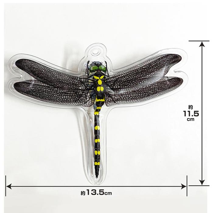 イヤな虫の天敵 オニヤンマ兄弟 ミキロコス 高芝ギムネ M-43 |  | 03