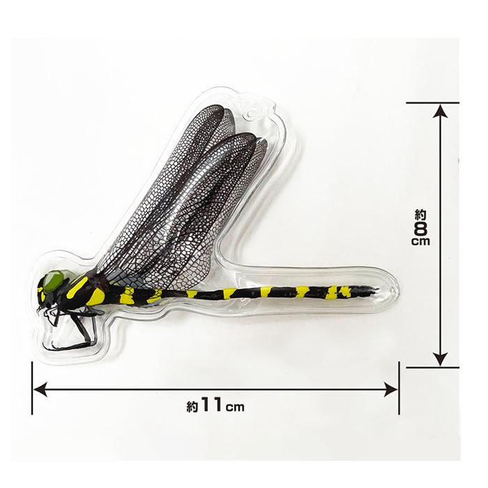 イヤな虫の天敵 オニヤンマ兄弟 ミキロコス 高芝ギムネ M-43 |  | 04