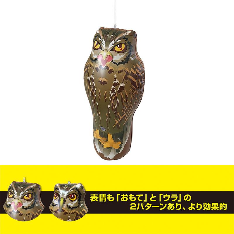 龍宝丸 鳥追いフクロウ 取寄品 高芝ギムネ K-903 |  | 01