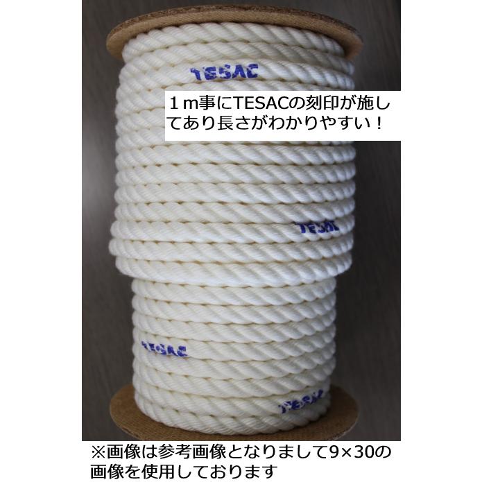 クレモナメーターロープ 3ツ打ち 3.0mm×100m テザック KS3-145 |  | 01