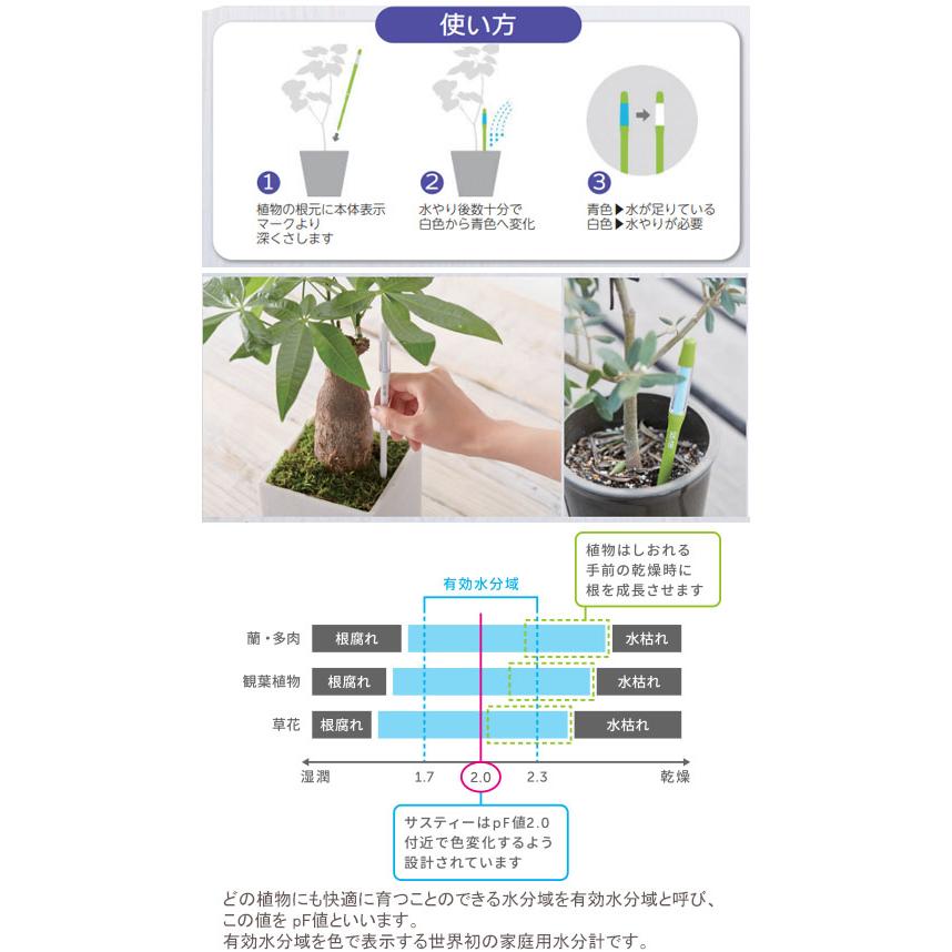 春新作の Sus 水やりチェッカー Tee C 0011 Wh キャビノチェ 直径6 9cm対応 2 2 5 3号鉢 Sサイズ ホワイト その他道具 工具 Www Mindthevoice Be