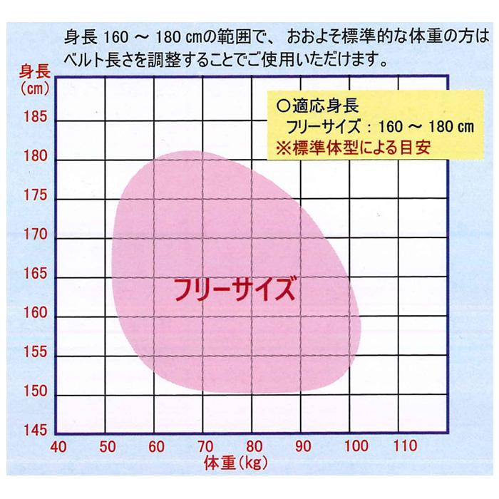 フルハーネス 墜落制止用器具の規格適合品 XVパススルー型フリーサイズ 安全帯 NRK HCP-F-BL |  | 02