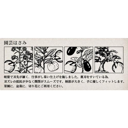 ホームフラワーはさみ No.0134 全長175mm ドウカン DK-650 |  | 01