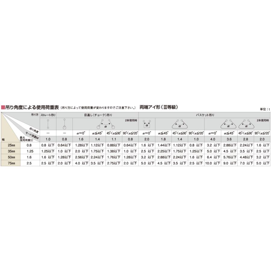 キングスリングベルト 1.25トン(35mm巾)×5m 【受注生産品】 TOYO トーヨーセフティー |  | 02