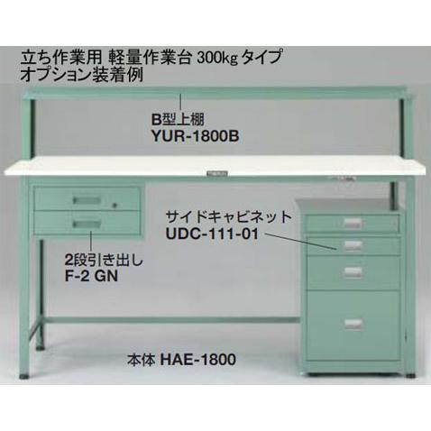 軽量立作業台(300kg型・スチール天板)1200×750×900mm【代引不可・メーカー直送品 車上渡し品】 トラスコ HSAE-1200_2