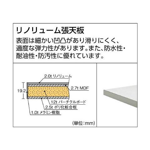 RAE型作業台 900×600 ツールハンガー付 W色※メーカー直送品 車上渡し品 トラスコ RAE-0960THNW_2