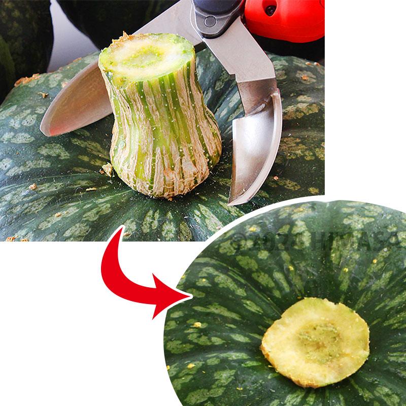 部品カボチャはさみ用 かぼちゃ 収穫電動鋏用 上下刃セット 替刃 取寄品 ニシガキ N-980-3 |  | 01