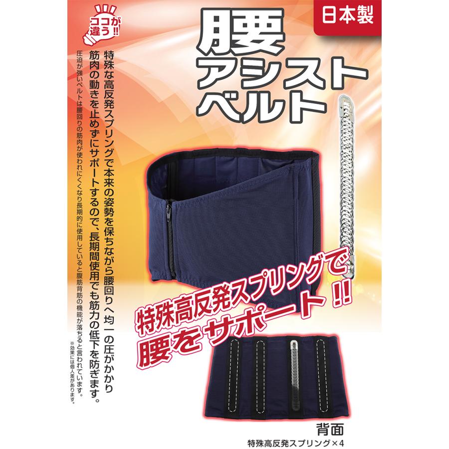 腰アシストベルト 男女兼用 Lサイズ 取寄品 たくみ 4182 : 大工道具