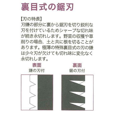 野菜鎌 135mm(柄：210mm) 豊稔光山 HT-1440｜arde｜03