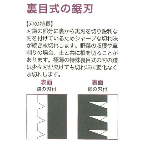 KAMA収穫鎌 小 120mm(柄：210mm) 豊稔光山 HT-1455｜arde｜02