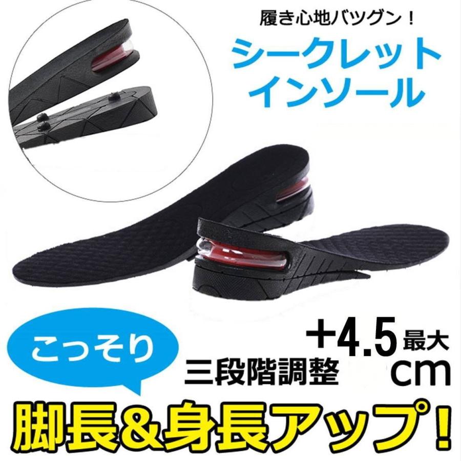 ゆうメール 送料無料 2段 履くだけ 4.5cm 足が長くなる シークレット 
