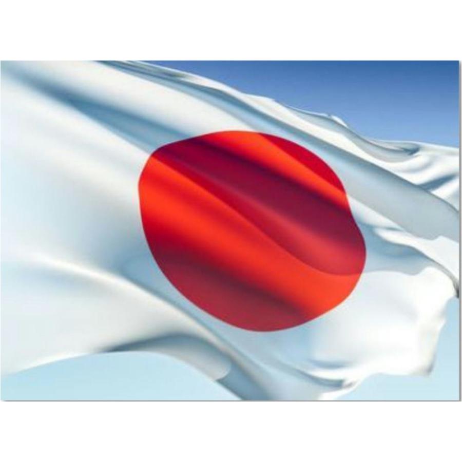 ゆうメール 送料無料 日本 国旗 JAPAN 大サイズ 約 90×150cm 卒業式