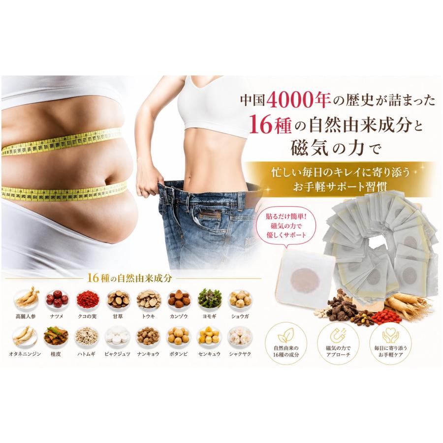 ダイエットパッチ 貼るだけ 簡単 ダイエット パッチ 40枚入 80日分 へそ スリム