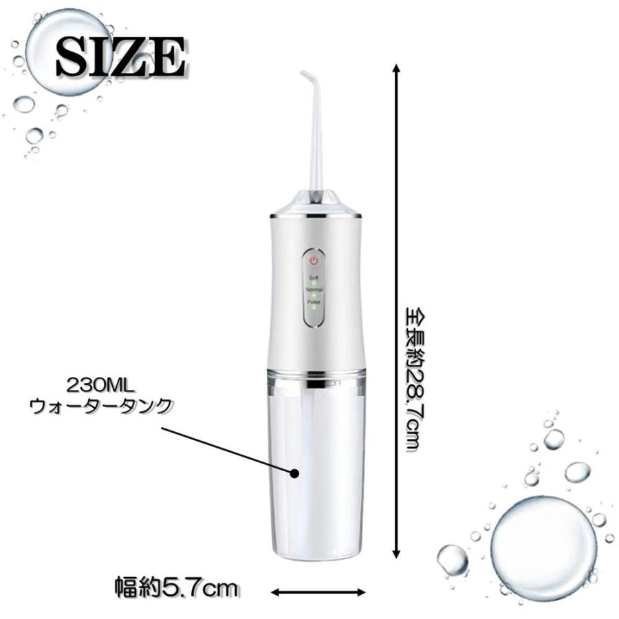 口腔洗浄器 4種類ノズル ウォーターフロッサー 大容量タンク 230ml