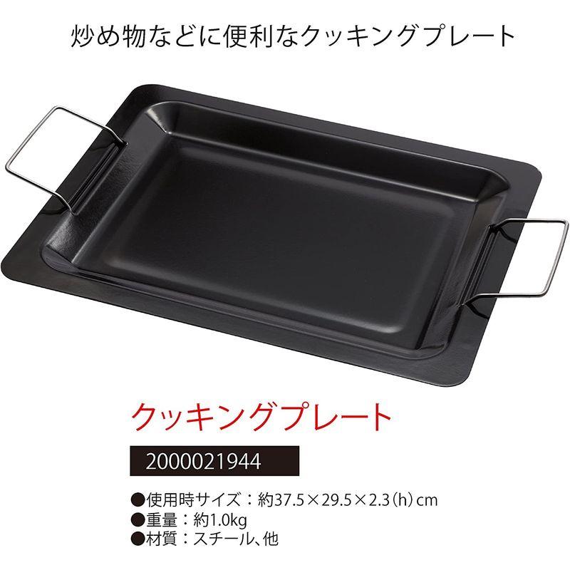  Coleman 2000021944 20230311040323 01793 area 