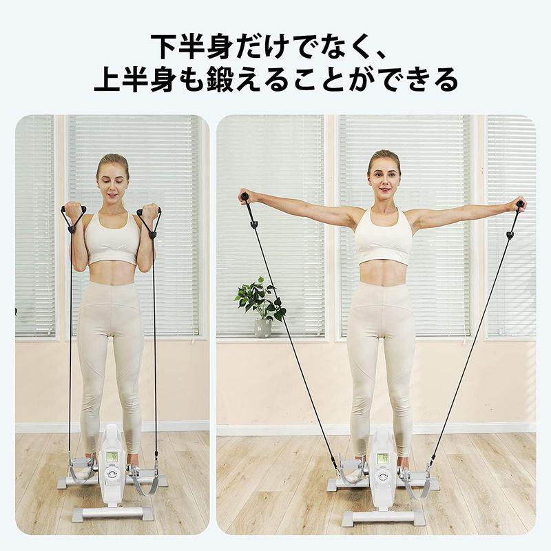 エアロバイク ミニ MERACH (メリック)フィットネスバイク 小型 スピンバイク 静音 アプリと連動可能 高齢者 運動不足解消 組立簡単 ミニ MERACH メリック フィットネスバイク 小型 スピンバイク 静音 アプリと連動可能 高齢者 運動不足解消 組立簡単