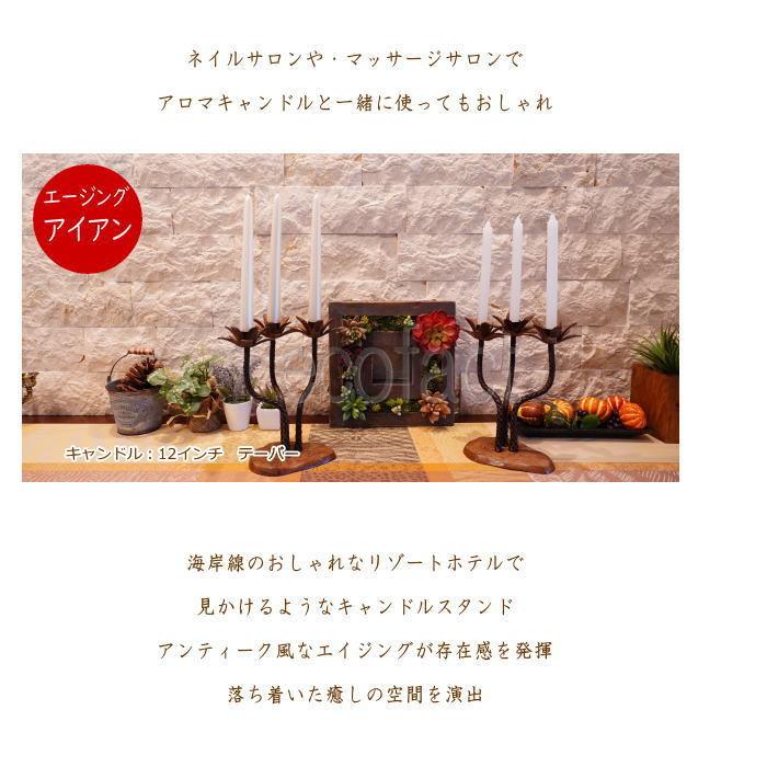 3灯 アイアン パームキャンドルホルダー キャンドルホルダー