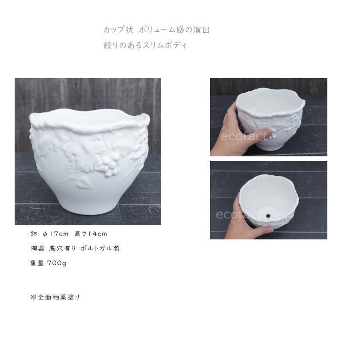 おしゃれ フラワーポット 陶器鉢 植木鉢 ミニポット ホワイト フルーツ