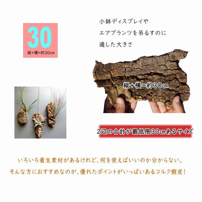 バージンコルク 周囲30サイズ 縦 横 周囲約30cm 無調整コルクシート コルクディスプレイ コルクボードコルクマット 天然コルク樫 樹皮 園芸 天然木 Yb エリア27 通販 Yahoo ショッピング