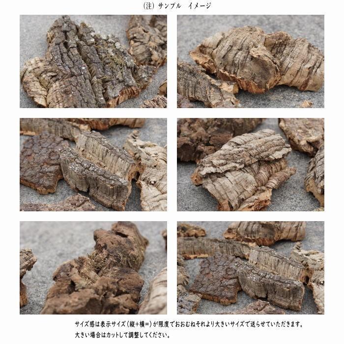 バージンコルク 周囲30サイズ 縦 横 周囲約30cm 無調整コルクシート コルクディスプレイ コルクボードコルクマット 天然コルク樫 樹皮 園芸 天然木 Yb エリア27 通販 Yahoo ショッピング