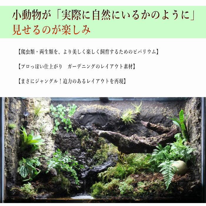 バージンコルク LSサイズ(15〜20cm × 35cm) +-2cm 天然木 樹皮 バージンコルク LSサイズ(15〜20cm × 35cm) +-2cm 天然木 樹皮