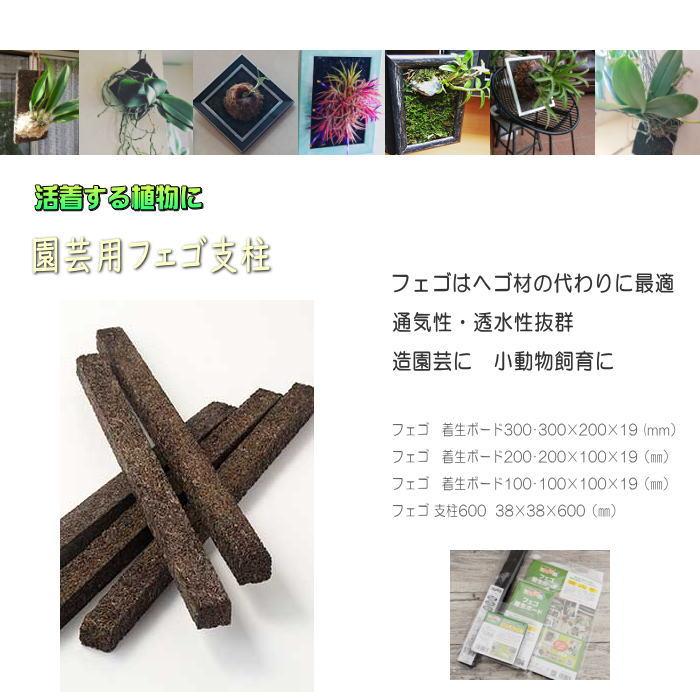 ヘゴヘゴ板ヘゴの登り棒着生1.5m 1本アロイドの親木の管理に最適