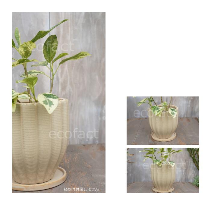 木製の花器(底に穴あり) 排水穴あり 英国 Terrace&Garden キューガーデン キューポット