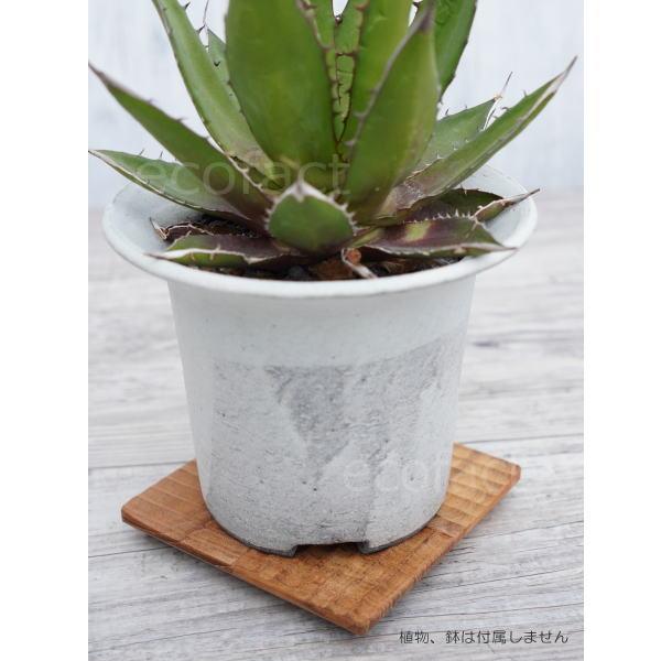 鉢皿 受け皿 受皿 ソーサー 植木鉢 植物 台座 □10cm ナチュラル 1枚