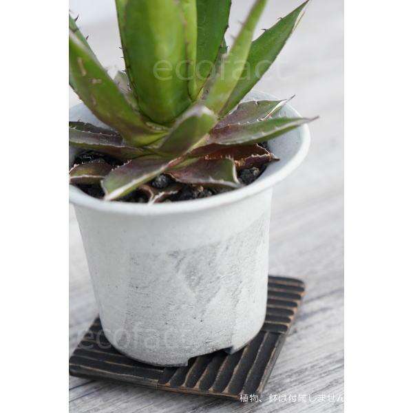 鉢皿 受け皿 受皿 ソーサー 植木鉢 植物 台座 □10cm ブラック 黒 1枚