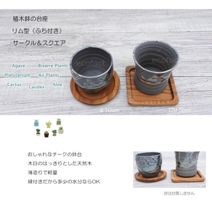 鉢皿 受け皿 受皿 ソーサー 植木鉢 植物 台座 リム スクエア □9.5(7.5