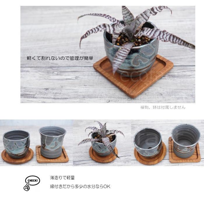 鉢皿 受け皿 受皿 ソーサー 植木鉢 植物 台座 リム スクエア □9.5(7.5