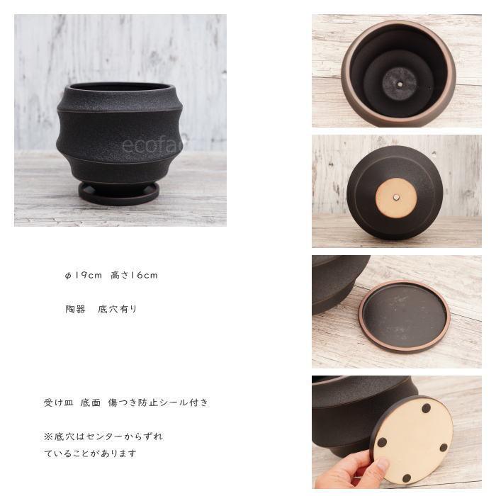 陶器鉢 植木鉢 ミニポット 底穴あり 皿付 ループ φ19cm プランター
